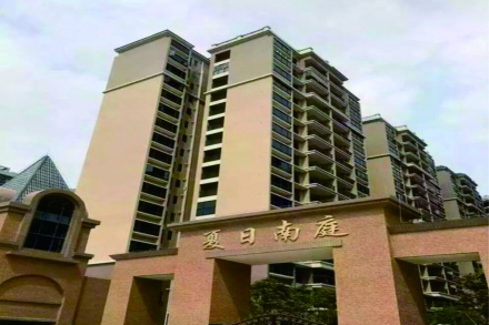 夏日南庭